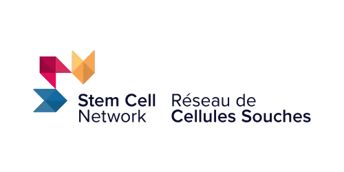 SCN-FR